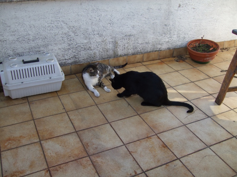 Ostern 2007 Orleshausen 066 